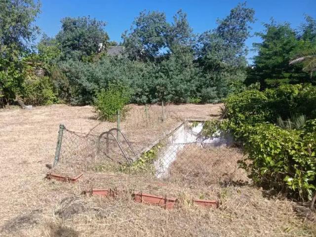 Terreno en venta en Las Rozas De Madrid, Madrid