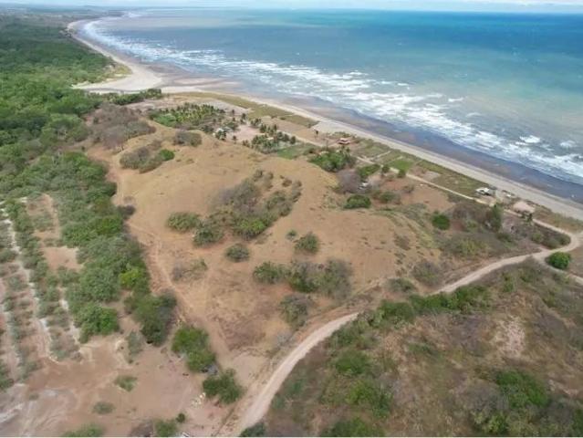 Terreno venta en Las Tablas, Bocas del Toro
