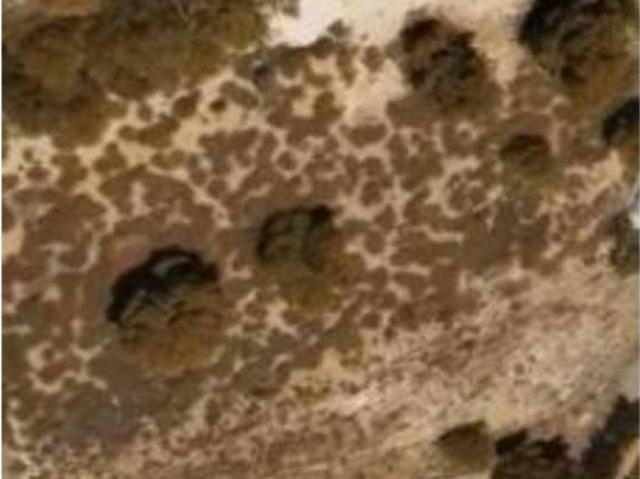 Terreno en venta en Vega Media del Segura, Murcia