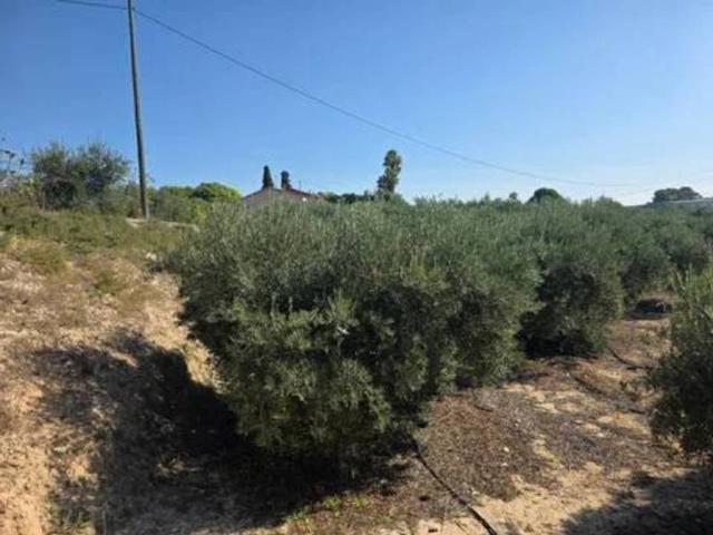 Terreno en venta en Vega Media del Segura, Murcia