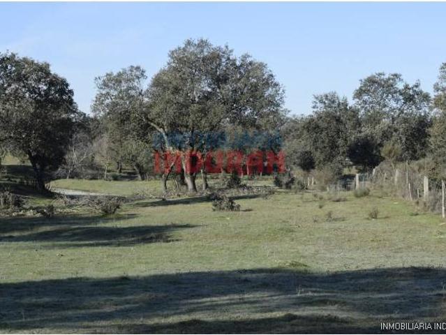 Terreno en venta en Las Ventas De San Julián, Castilla-La Mancha