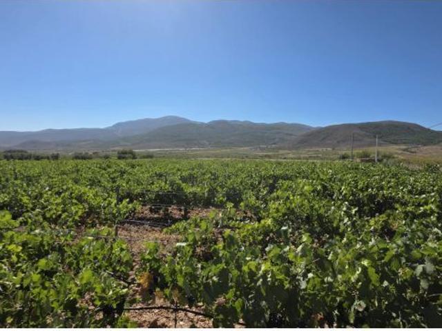 Local Comercial en venta en Láujar De Andarax, Andalucía