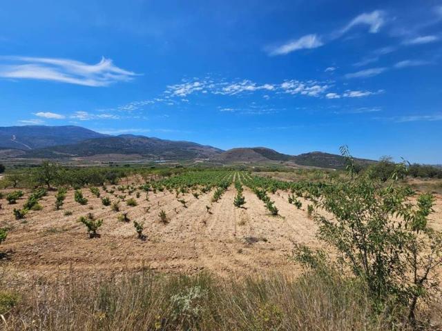 Terreno en venta en Láujar De Andarax, Andalucía