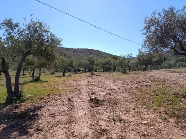 Terreno en venta en Láujar De Andarax, Andalucía