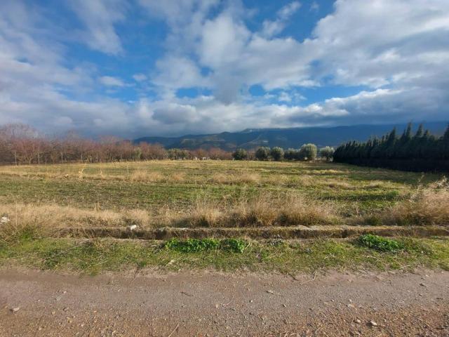 Terreno en venta en Láujar De Andarax, Andalucía