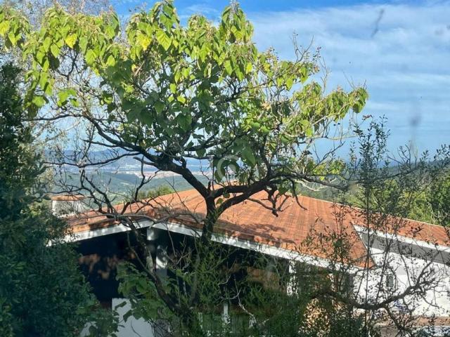 Terreno en venta en Laukiz, Guipúzcoa