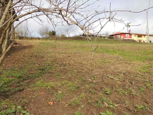 Terreno en venta en Laviana, Asturias