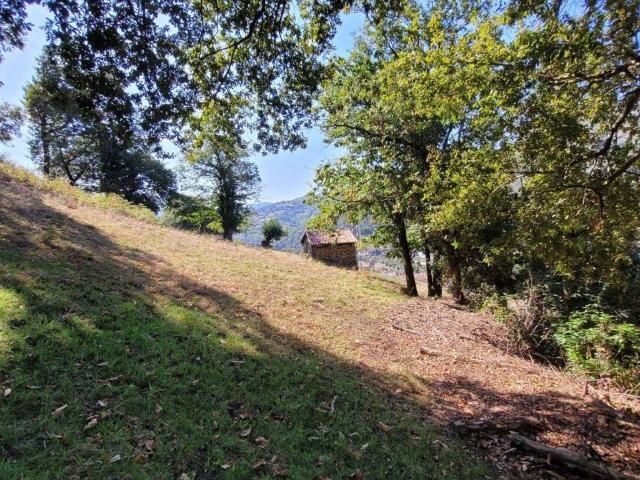 Terreno en venta en Laviana, Asturias
