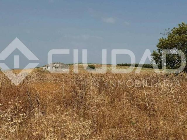 Terreno en venta en Lebrija, Andalucía