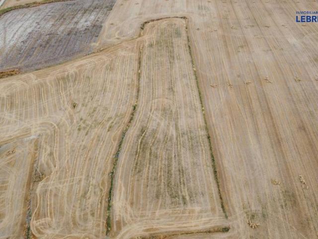 Terreno en venta en Lebrija, Andalucía