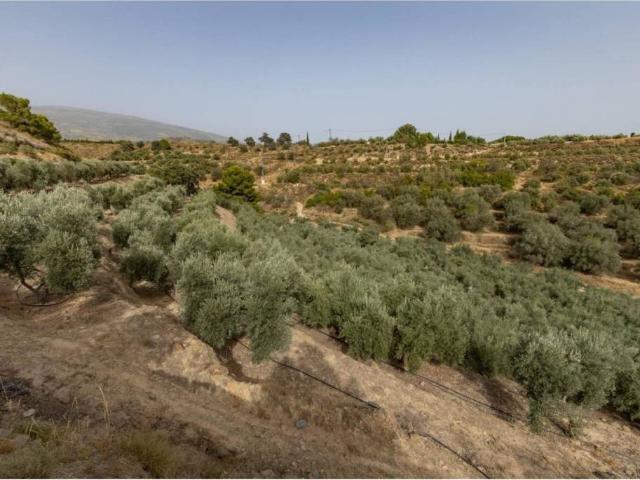Terreno en venta en Talará, Comarca del Valle de Lecrín
