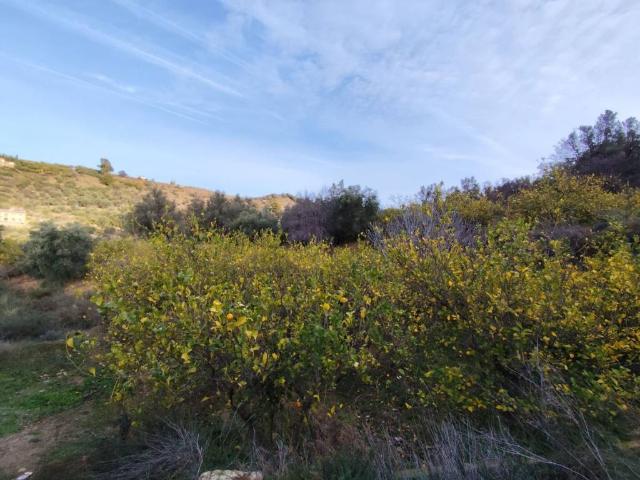 Terreno en venta en Chite, Comarca del Valle de Lecrín