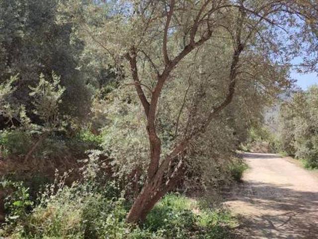 Terreno en venta en Chite, Lecrín