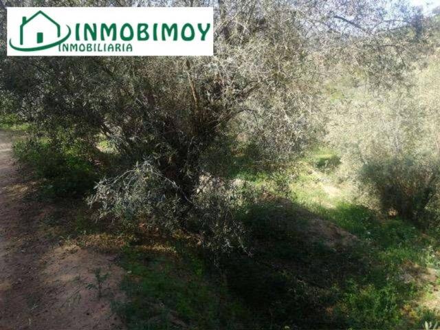 Terreno en venta en Talará, Comarca del Valle de Lecrín