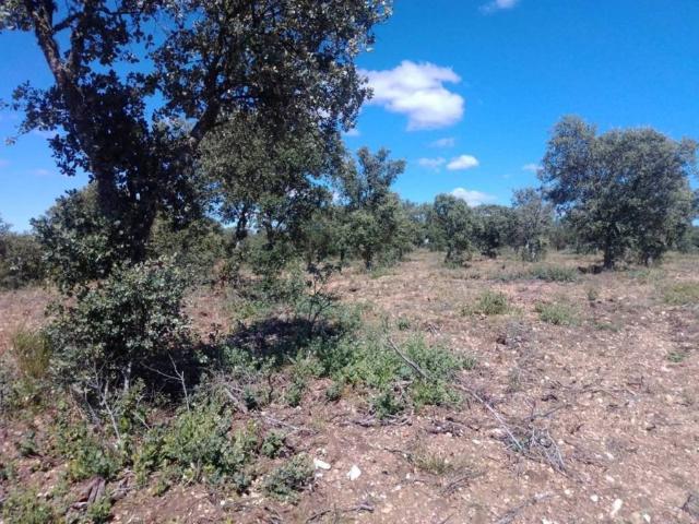 Terreno en venta en Ledesma, Castilla y León