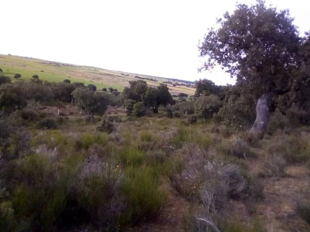 Terreno en venta en Ledesma, Castilla y León