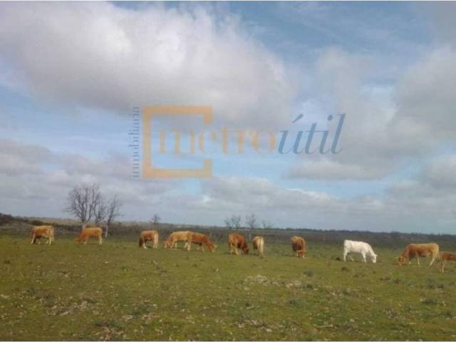 Terreno en venta en Ledesma, Castilla y León