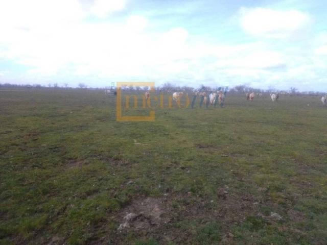 Terreno en venta en Ledesma, Castilla y León