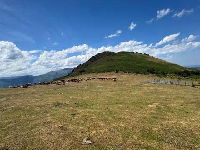 Terreno en venta en Lena, Asturias