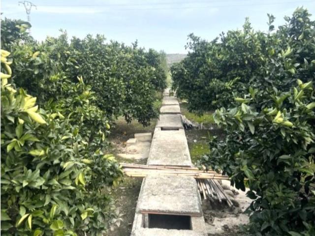 Terreno en venta en la Ribera Alta, Valencia