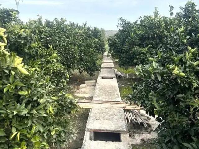 Terreno en venta en l'Énova, València / Valencia