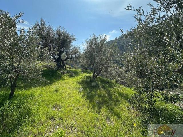 Terreno en venta en Comarca de la Costa Granadina, Andalucía