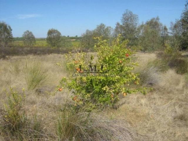 Terreno en venta en Costa Occidental, Andalucía