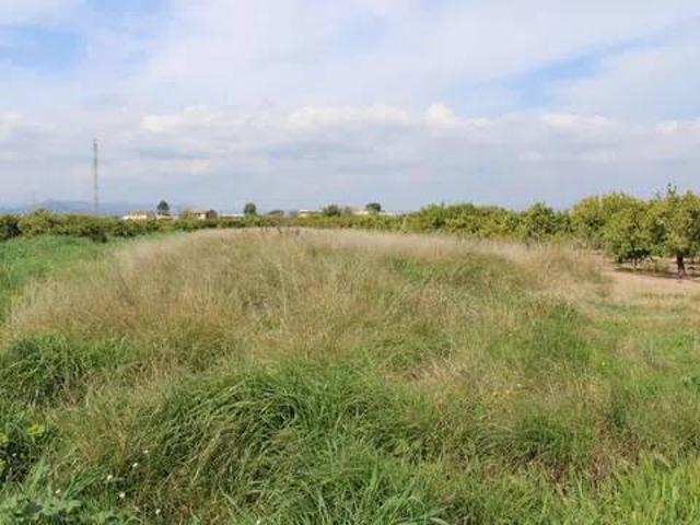 Terreno en venta en la Plana Baixa, Valencia