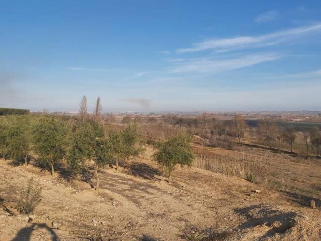 Terreno en venta en Borges Blanques, Les