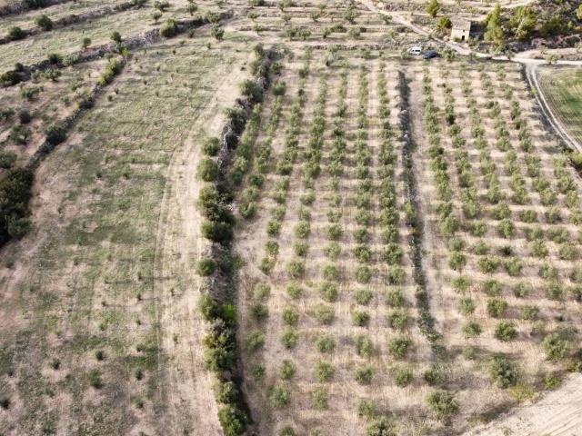 Terreno en venta en Garrigues, Catalunya