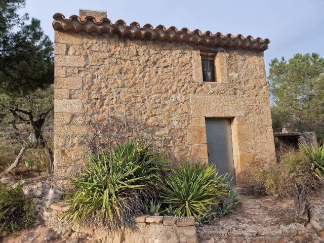 Terreno en venta en Garrigues, Catalunya