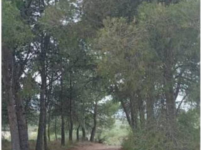 Terreno en venta en Garrigues, Catalunya