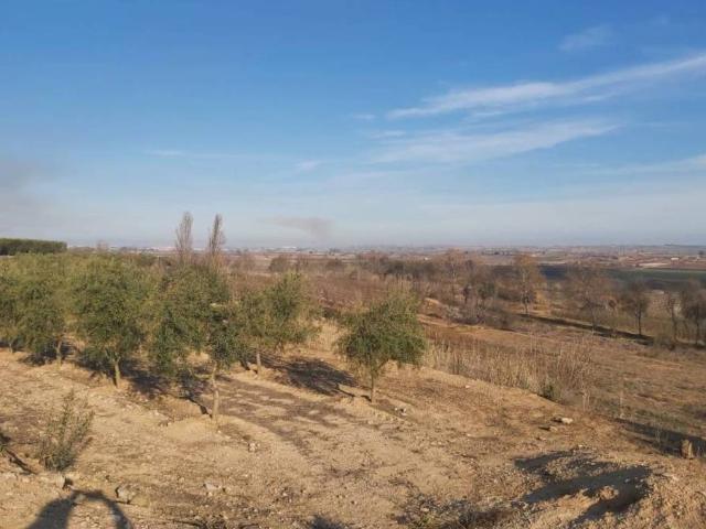 Terreno en venta en Garrigues, Catalunya