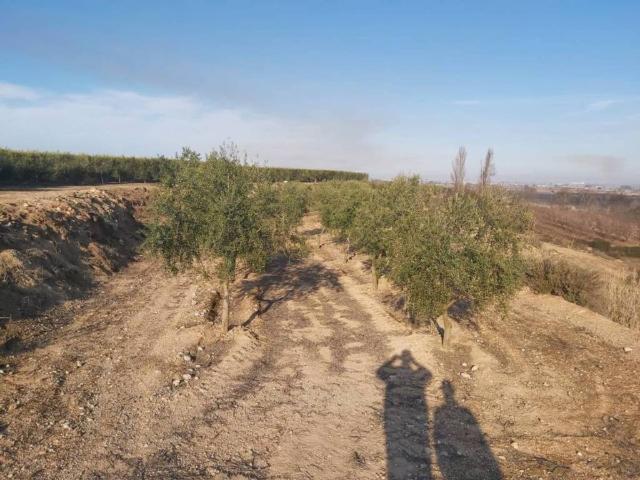 Terreno en venta en Garrigues, Catalunya
