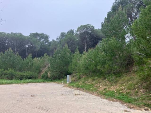 Terreno en venta en Alt Empordà, Catalunya