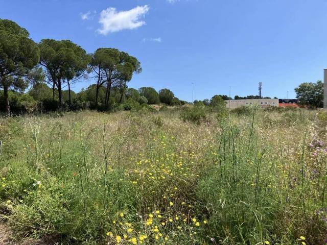Terreno en venta en Alt Empordà, Catalunya