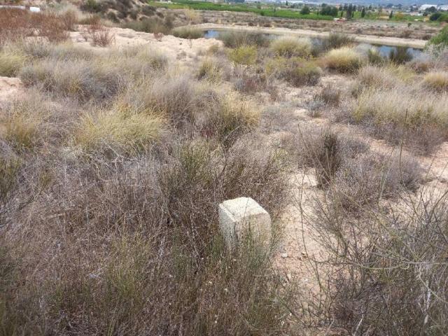 Terreno en venta en Bajo Guadalentín, Murcia