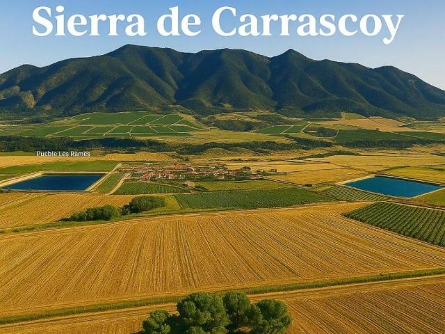 Terreno en venta en Bajo Guadalentín, Murcia