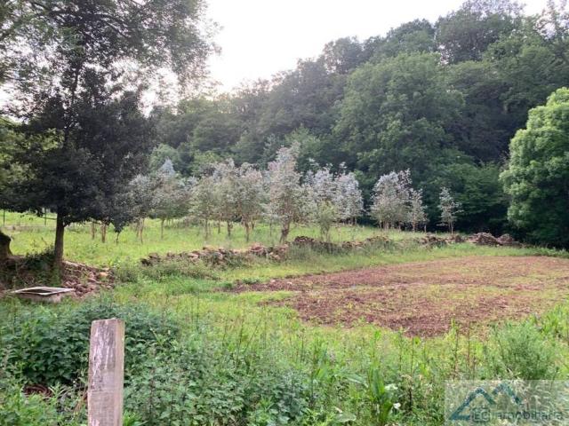 Terreno en venta en Liérganes, Cantabria