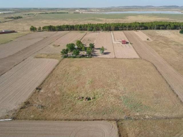 Terreno en venta en Lillo, Castilla-La Mancha