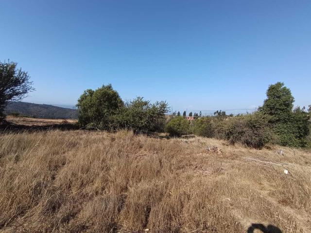 Terreno en Venta en Limache