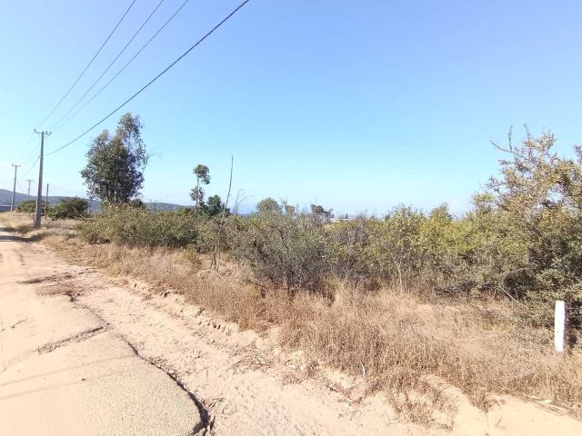 Terreno en Venta en Limache