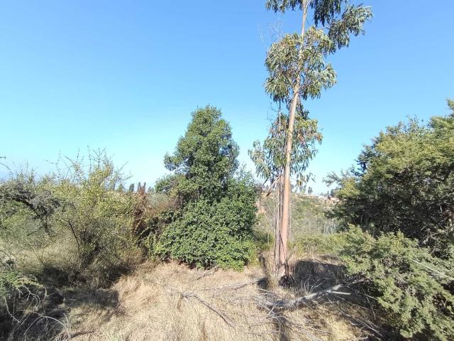Terreno en Venta en Limache