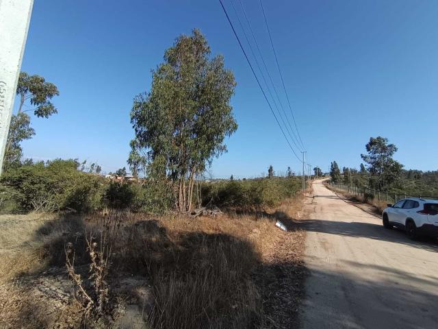 Terreno en Venta en Limache