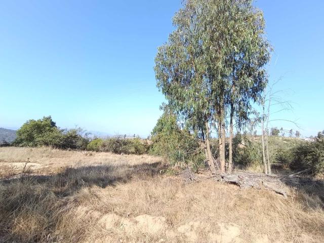 Terreno en Venta en Limache