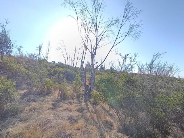 Terreno en Venta en Limache