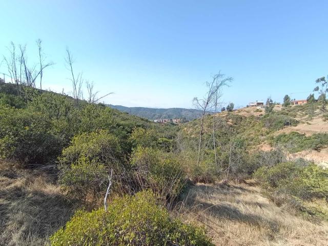 Terreno en Venta en Limache