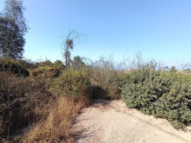 Terreno en Venta en Limache