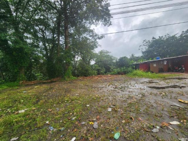 Terreno venta en Limón, Colón