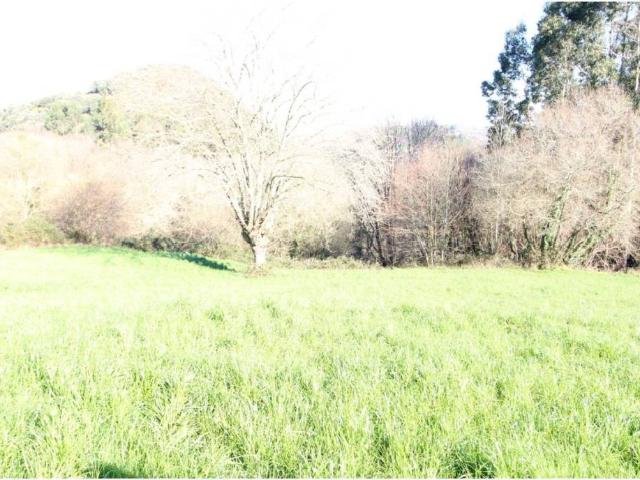 Terreno en venta en Limpias, Cantabria